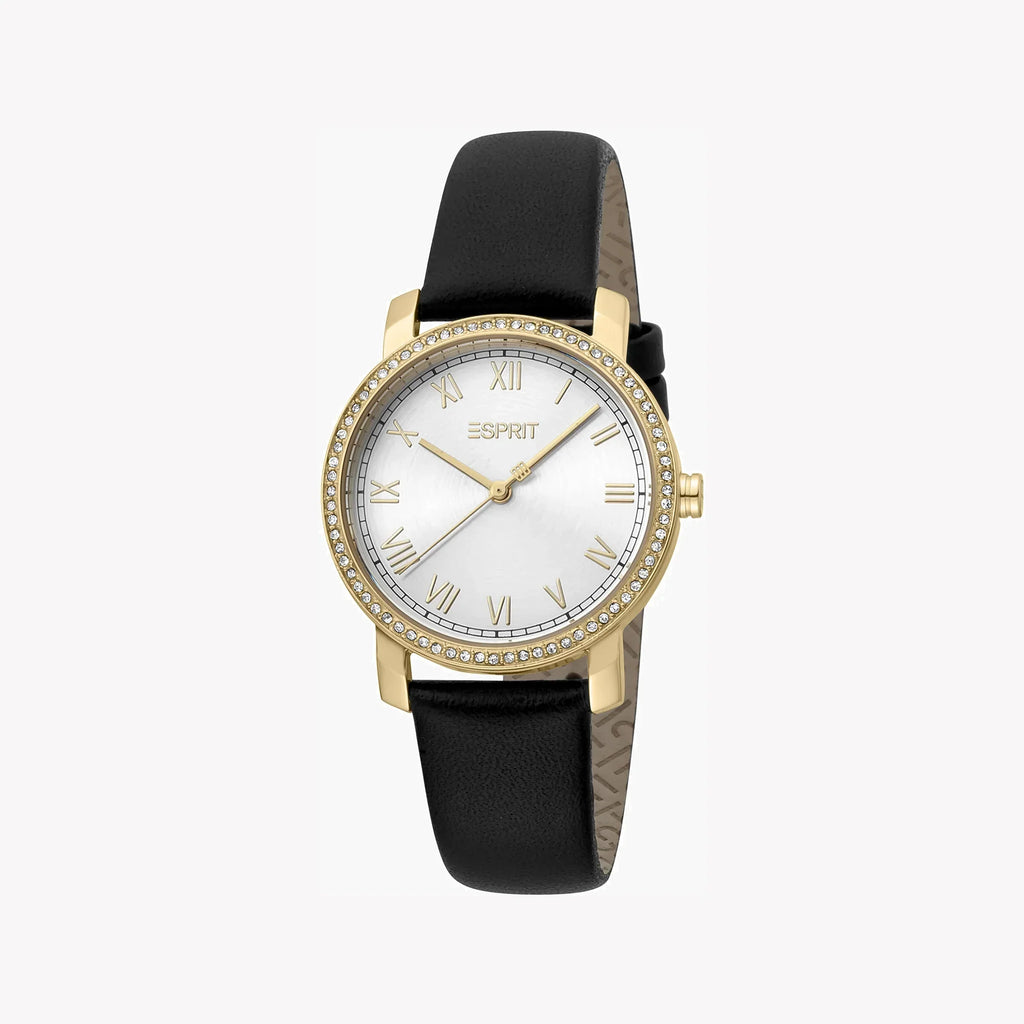 Esprit Women's Black Leather Watch, Silver Dial | ES1L282L0025