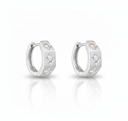 Aurielle Hoops