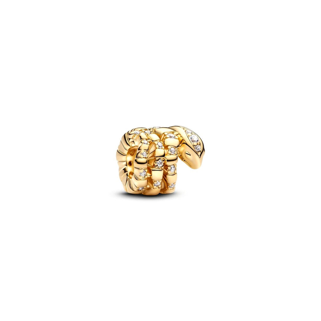 PANDORA JEWELRY Mod. 763618C01